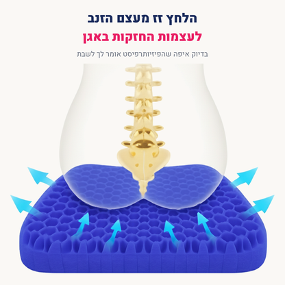 כרית המושב של Selera+