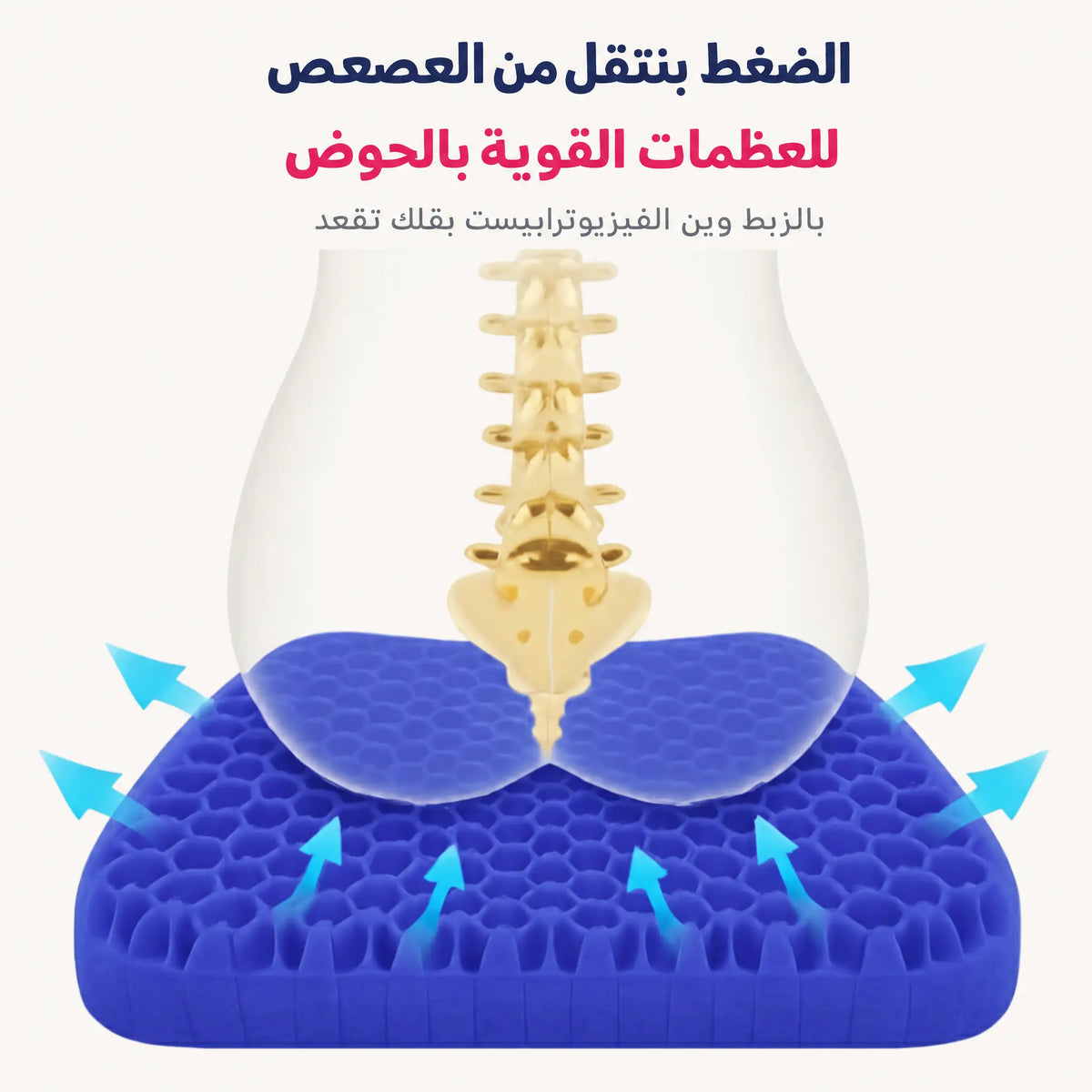 عرض لمخدة الجل من سيليرا اللي بتنقل الضغط من العصعص لعظام الحوض