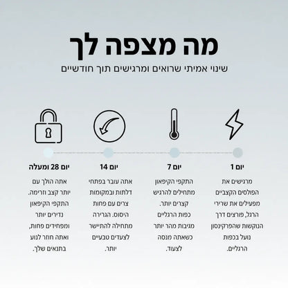 מה מצפה לך, ציר זמן של 28 יום